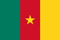 Flag of cameroon