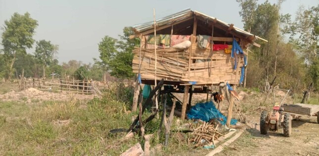 Vue d'une petite habitation en bois et en bambou sur pilotis, entourée de végétation.